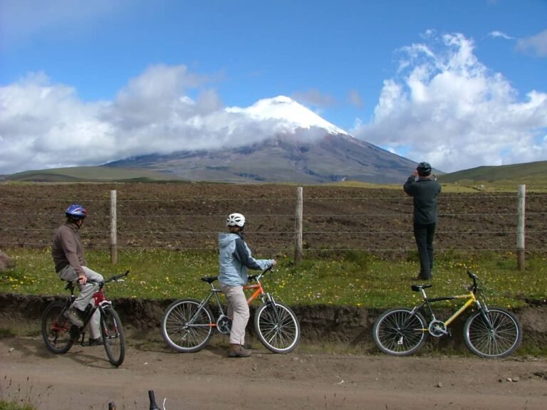 Biking cheap tours