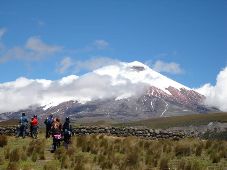 pedregal cotopaxi tours travel