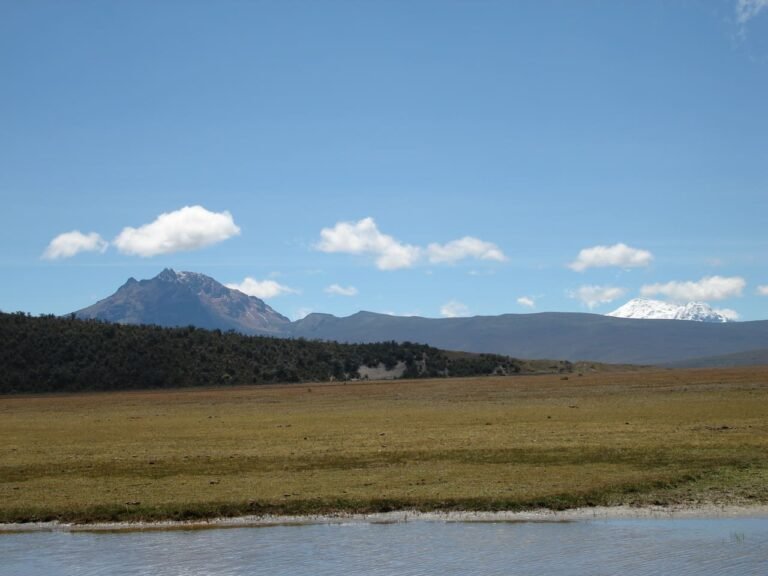 1 day tour cotopaxi