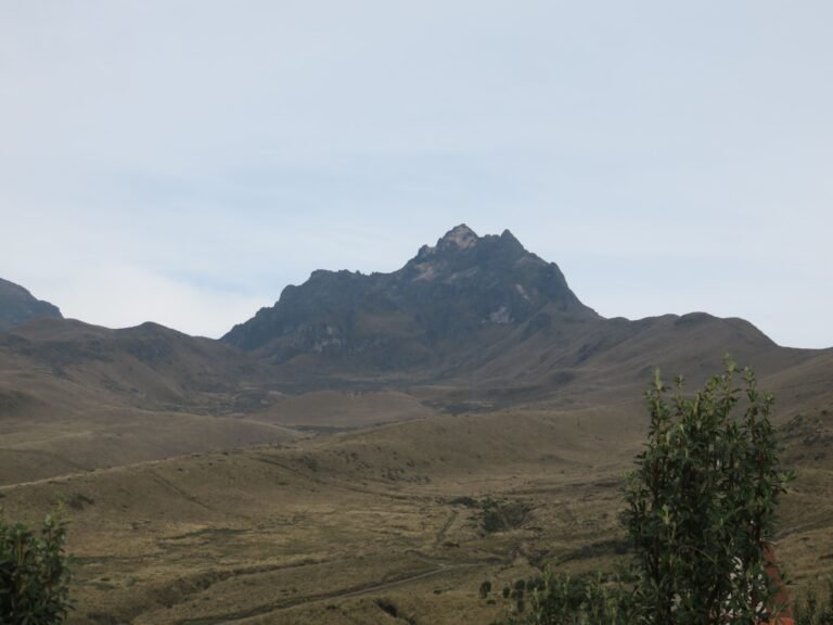 Rucu Pichicha quito