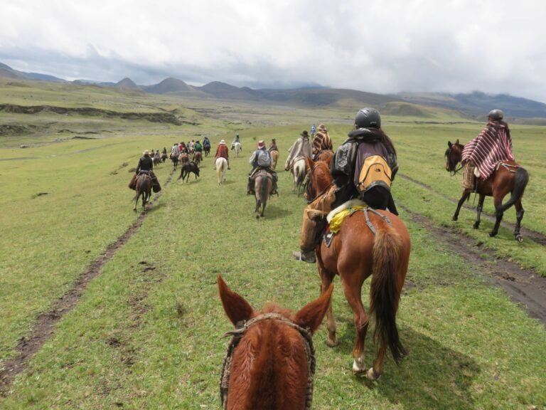 cabalgatas en cotopaxi parque
