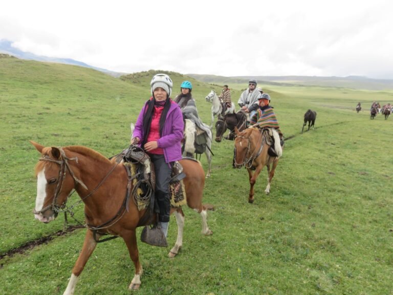 cabalgatas en el parque nacional cotopaxi