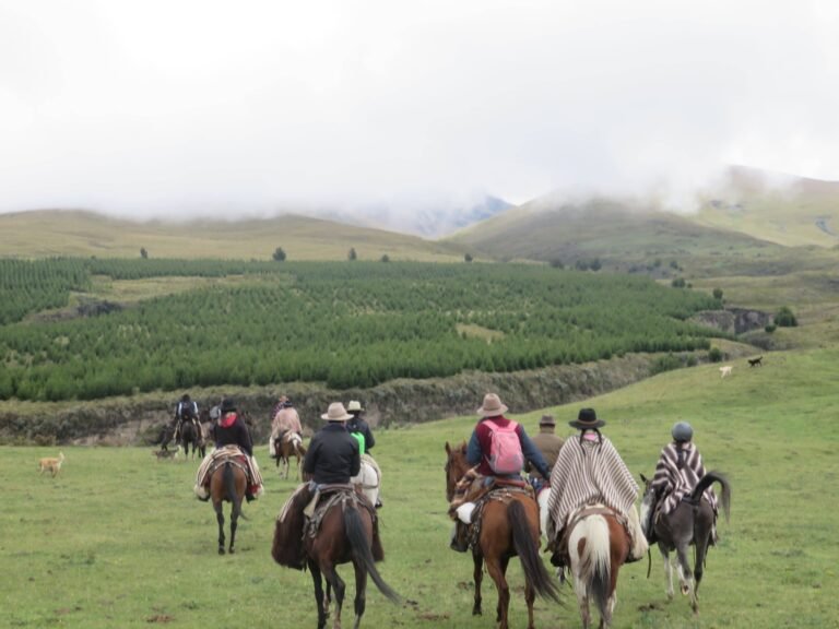 cabalgatas chagras