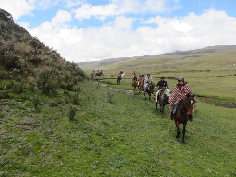 parque nacional cotopaxi