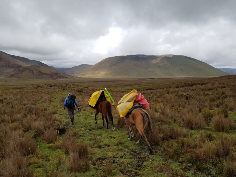 cotopaxi