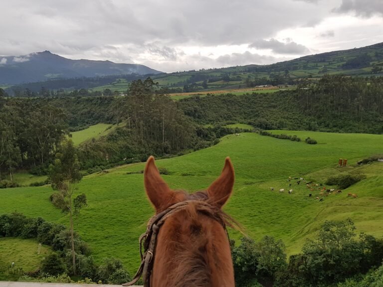 tours de cabalgatas en ecuador