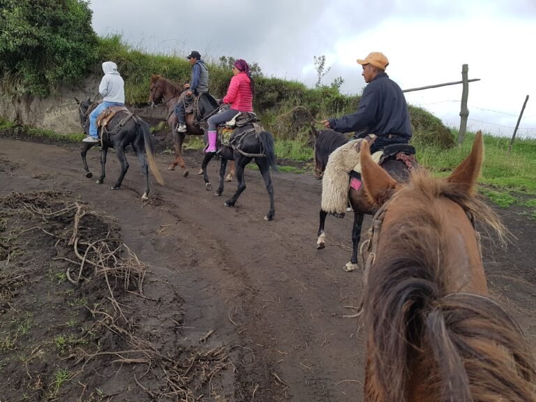 cabalgatas baratas en ecuador