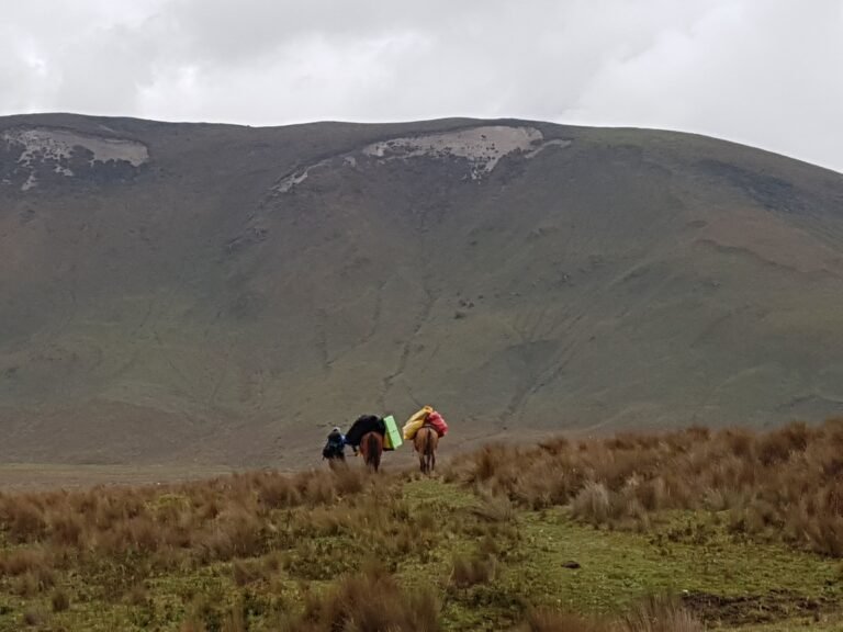 best-trekkings in ecuador