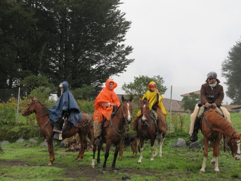 paseos a caballo en el parque nacional cotopaxi