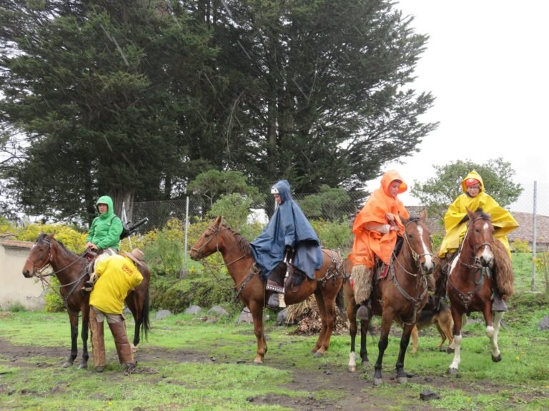 mejores paseos a caballo