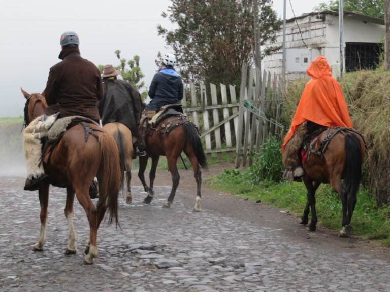paseos a caballo