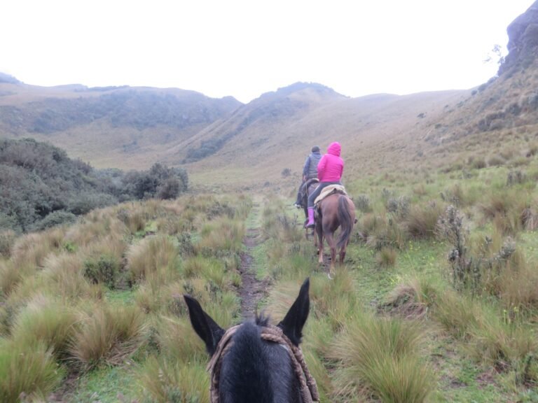 cabalgatas en cotopaxi