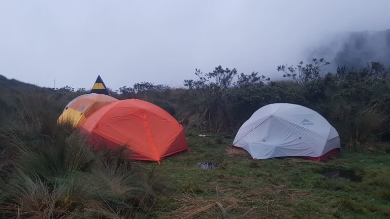 ecuador tambo