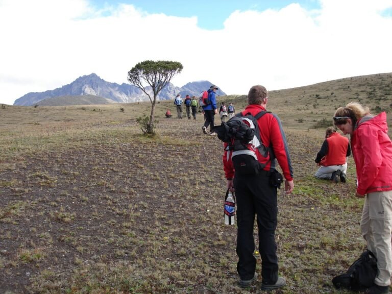 cotopaxi national park